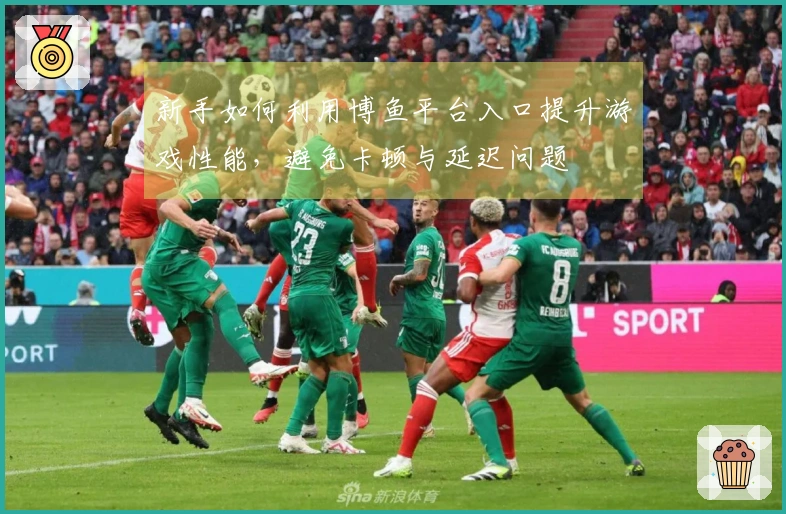 新手如何利用博鱼平台入口提升游戏性能，避免卡顿与延迟问题